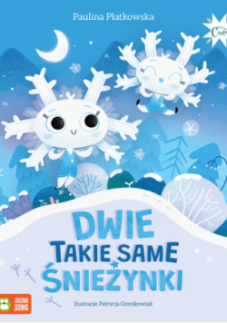 Dwie takie same śnieżynki