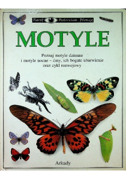 Patrzę Podziwiam Poznaję Motyle