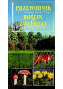 Przewodnik do rozpoznawania roślin i zwierząt  na wycieczce
