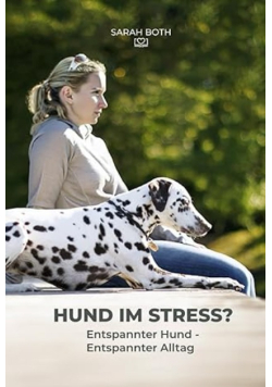 Hund im Stress?