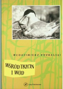 Wśród trzcin i wód