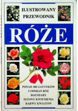 Ilustrowany przewodnik róże