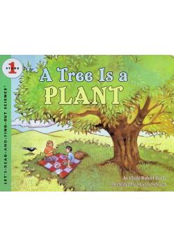 A Tree Is a Plant