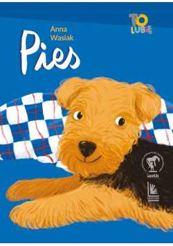 Pies