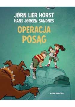 Operacja Posąg