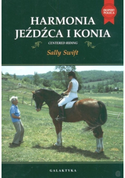 Harmonia jeźdźca i konia