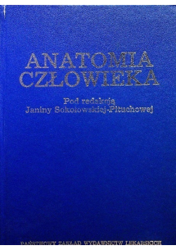 Anatomia człowieka