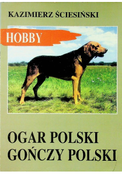 Ogar Polski Gończy Polski