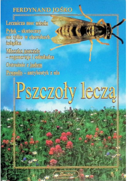 Pszczoły leczą