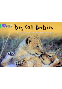 Big Cat Babies