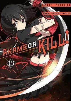 Akame ga Kill Tom 13