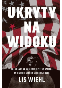 Ukryty na widoku