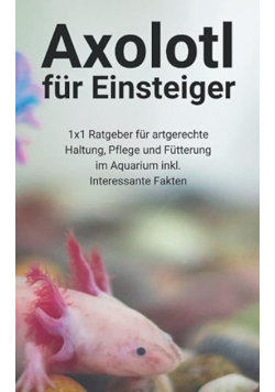 Axolotl fur Einsteiger