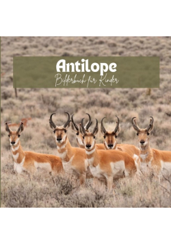 Antilope: Bilderbuch fur Kinder
