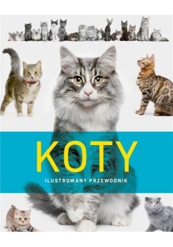 Koty Ilustrowany przewodnik