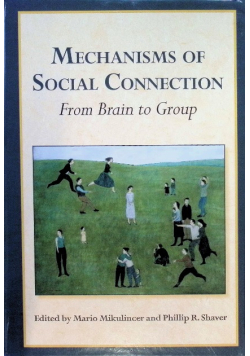 Mechanisms of Social Connection