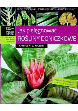 Jak pielęgnować rośliny doniczkowe