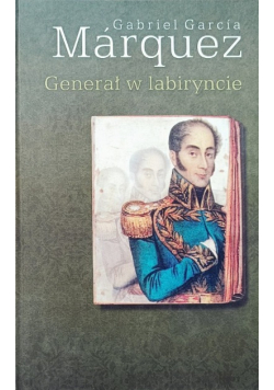 Generał w labiryncie