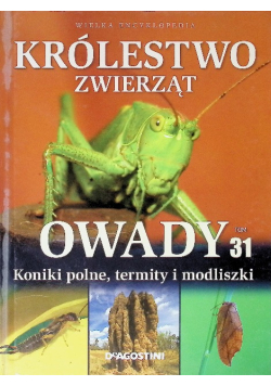 Królestwo zwierząt Tom 31 Owady