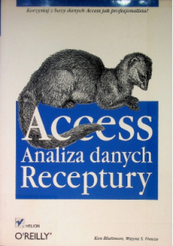 Access analiza danych Receptury