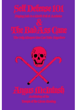 Self Defense 101 & The BadAss Cane: Staying Safe in a World Full of Assholes & The Only Weapon You Can Take Anywhere