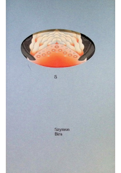 Bira 5