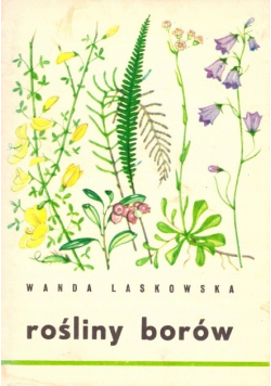 Rośliny borów