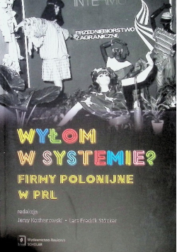 Wyłom w systemie?