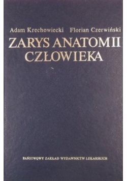 Zarys anatomii człowieka