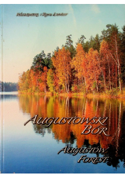 Augustowski Bór. Augustów Forest