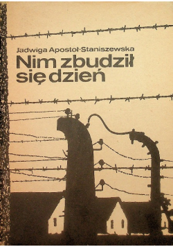 Nim zbudził się dzień