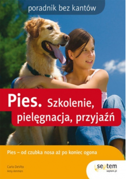 Pies Szkolenie pielęgnacja przyjaźń