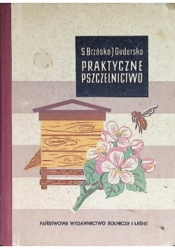 Praktyczne pszczelnictwo