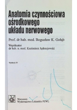 Anatomia czynnościowa ośrodkowego układy nerwowego