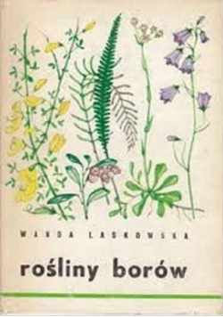 Rośliny borów