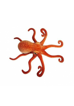 Ośmiornica 47cm