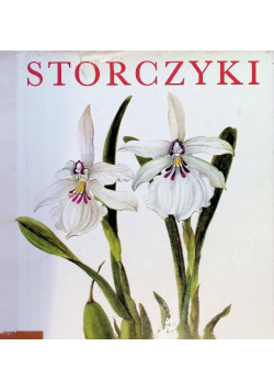 Storczyki
