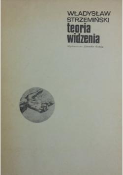 Teoria widzenia