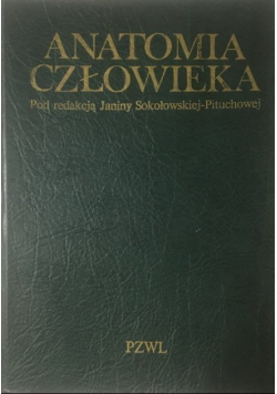 Anatomia człowieka