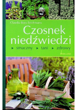 Czosnek niedźwiedzi