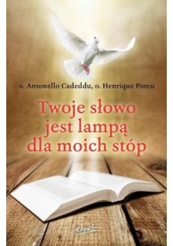 Twoje słowo jest lampą dla moich stóp