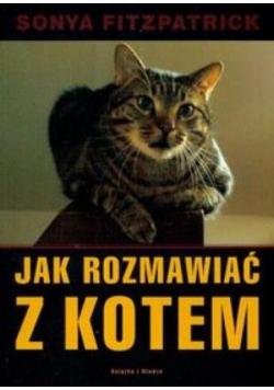 Jak rozmawiać z kotem