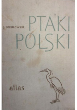 Ptaki Polski