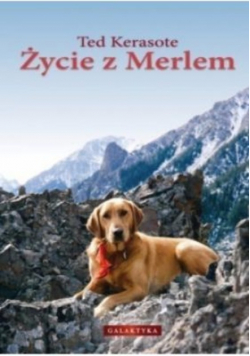 Życie z Merlem