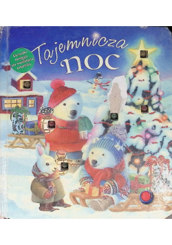 Tajemnicza noc