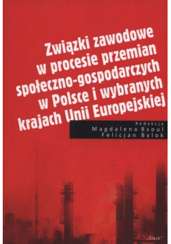 Związki zawodowe w procesie przemian społeczno-gospodarczych