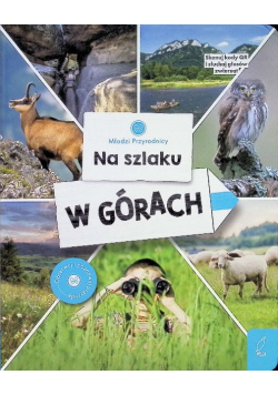 Na szlaku w górach