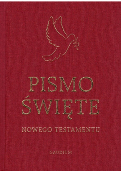 Pismo Święte Nowego Testamentu