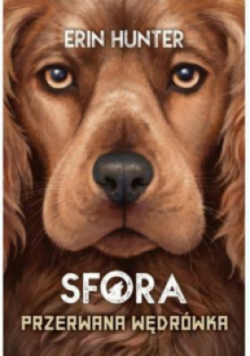 Sfora Przerwana wędrówka Tom 4