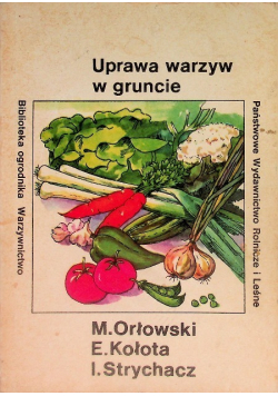Uprawa warzyw w gruncie
